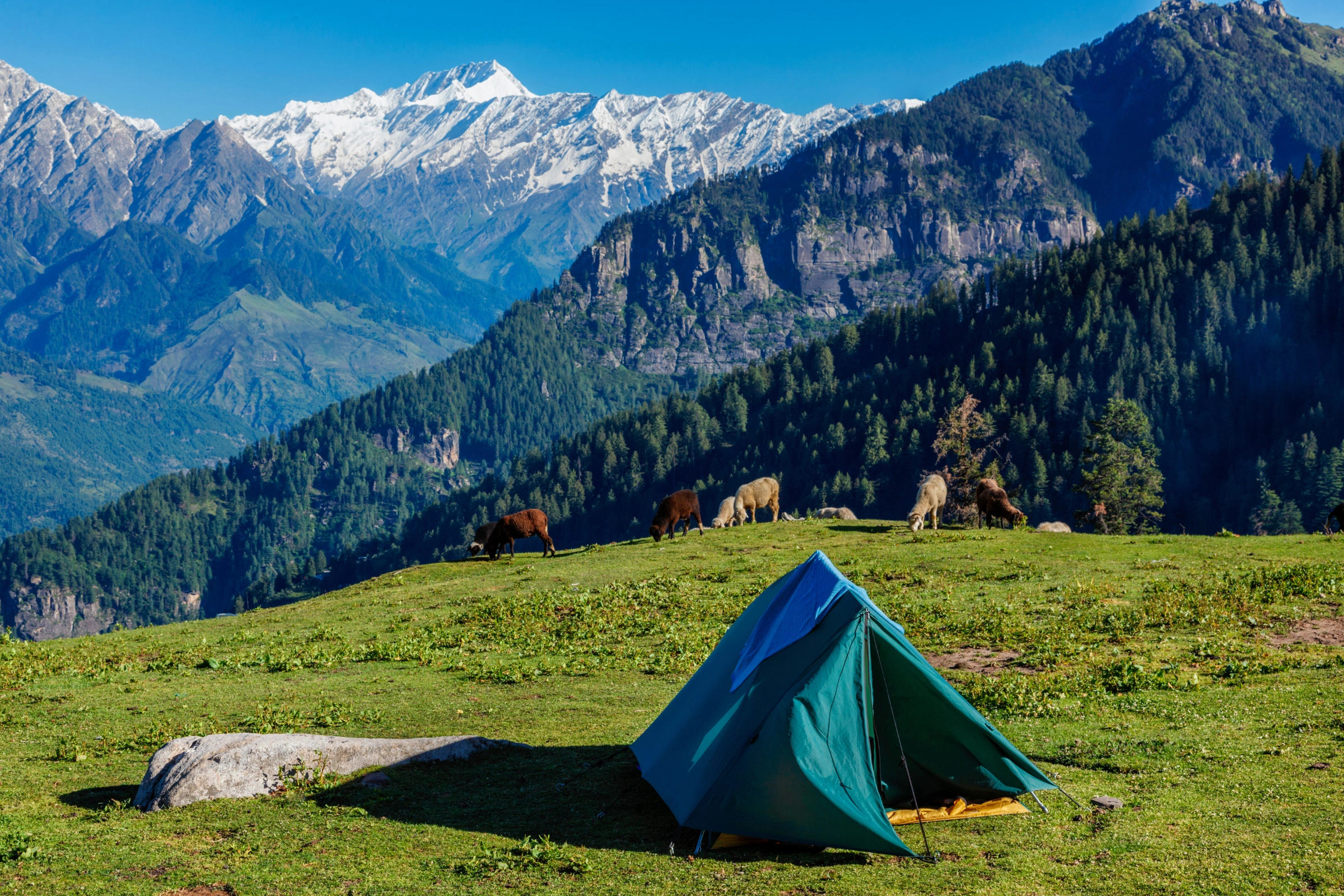 Jingmoche_Trail_Camp[1].webp